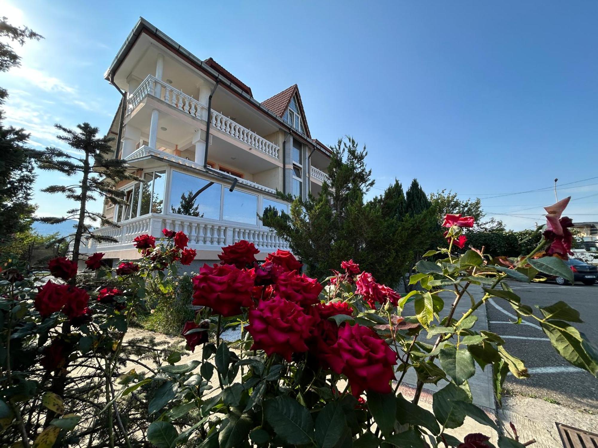 Pensiunea Cornelius Piatra Neamţ Exterior foto